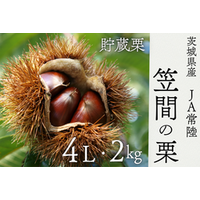 「ＪＡタウン」のショップ「いいものいっぱい広場」で 「茨城県産 笠間の栗」を予約販売中