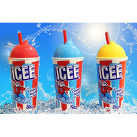 ICEE「レジャー＆アウトドアジャパン2025」出展のお知らせ