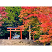 秋の霧島、紅葉スポットを紹介します！