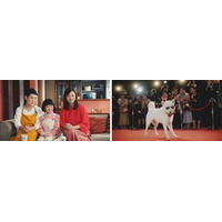 上戸彩さん、永尾柚乃さんがショッピングデート！ スター気取りのお父さんに白戸家もほっこり