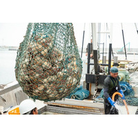 【物価高に挑む決断】北海道興部町（おこっぺちょう）、大人気「ホタテ玉冷」のふるさと納税寄附金額を12月1日より緊急引き下げ！