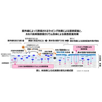 紫外線を味方につけて、水に強く崩れにくいUVカット膜により浸透促進する技術を開発