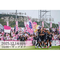 【宮崎県新富町】J2昇格の運命を握る最終決戦！新富町でパブリックビューイング開催決定！