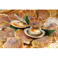 一般社団法人　日本観光文化協会主催 『日本観光特産大賞2025』が決定！ グランプリは「北海道：猿払ほたて貝）」