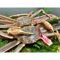 【ブランナールみささ】山陰冬の味覚の王様「ズワイガニ料理」を各種ご用意──2026年1月5日（月）～3月31日（火）までの平日限定で「かにすき鍋プラン」をラドン鍋フェスポッキリプライスでご用意！