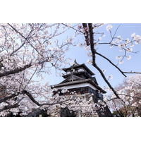 丸岡城が国内最大級の祭典「お城EXPO2025」に出陣！