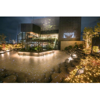 年明けも楽しめるイルミ！オモカド×NAKED、表参道の真ん中に「星降る森」が出現