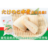 口コミ評価★4.9！「＜訳あり＞九州産たけのこ水煮」が受付再開！鹿児島県出水市のふるさと納税に再登場