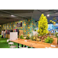 「続けたい」は毎年生まれる。でも、なぜ多くは続かないのか。年始に高まるモチベーションを、一過性で終わらせないために