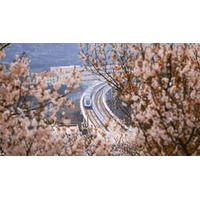  青島地下鉄 が開業10周年：約26億人の乗客を乗せ、スマートシティーの未来へ前進