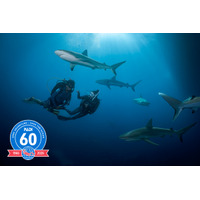 世界最大級のダイビング教育機関PADI、設立60周年― 2026年、新たな取り組みを始動 ―