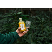 宮古島の太陽が育てたマンゴーから生まれた新ブランド「Tieda＋」誕生