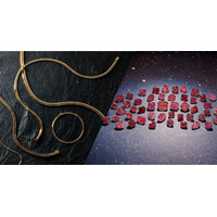 BIJOUPIKO（ビジュピコ）が1月16日（金）から始まる資産運用EXPO【春】に出展！希少なピンクダイヤモンドと喜平特別コーナーも展示！