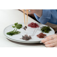 シーベジタブル、八重洲に新拠点。海藻の可能性をひらく実験の場「SEAVEGE- Kitchen Lab」を3月に始動