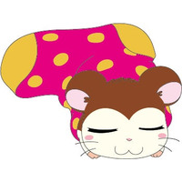 🐹今日はねてるくんのお誕生日💤　アニメ放送25周年記念イヤー『とっとこハム太郎』最新情報！