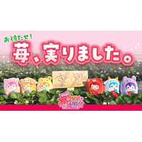 すとぷりの歌声を浴びて育ったオリジナルブランド苺『すとぷり』完成！猛暑を乗り越えた“特別な一粒”が、本日より数量限定で販売開始！