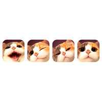 【特別企画】AI猫パートナーアプリ「Meowster」新規登録キャンペーン開始--登録者全員が自動で「iPhone 17 Pro Max」抽選対象に