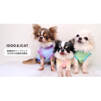 IDOG&ICATオリジナルペットウェア2026年春夏コレクション、季節に寄り添う新作ウェアを2月頃より展開