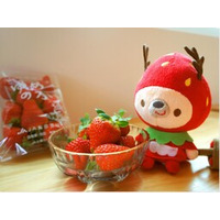 【日本におけるいちご伝来の地】長崎県のいちごをテーマにした川柳コンテストを初開催！ 