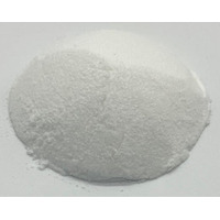 【東洋新薬】次世代アミノ酸「BEAA(R)」を発表 ―ホエイプロテインの価格高騰・調達リスクにも―