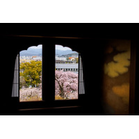 【ホテル長楽館】京都・円山公園の桜景色を特等席で望む春限定ステイプランを提供