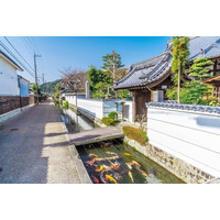 【JAF滋賀】近江商人発祥の地・五個荘を巡る春のまち歩きイベント開催！