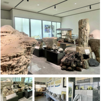 林野火災注意報・林野火災警報の運用が始まります