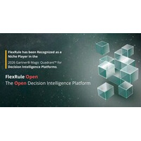 FlexRule（R）、2026年Gartner（R） Magic Quadrant（TM）の意思決定インテリジェンスプラットフォーム部門でニッチ・プレーヤーとして認定
