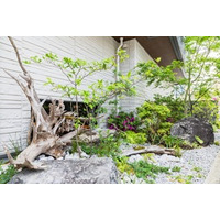 経年美化「エイジング」の趣～時を重ねて美が深まる集合住宅～