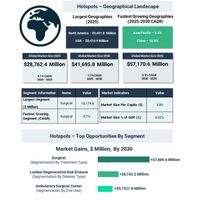 高齢化人口と低侵襲技術革新が変性椎間板疾患治療市場を再形成