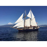 【開催報告】富士山を望む駿河湾で、世界一美しい小型帆船「Ami号」による“愛と冒険”の洋上パーティーを開催。