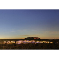 ウルルの世界的なアートアイコン「フィールド・オブ・ライト（Field of Light）」が公式祝典で10周年を迎える