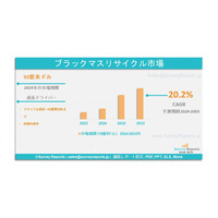 ブラックマスリサイクル市場の需要、シェア、動向、成長、機会および洞察分析（2024～2033年）である。