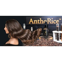 チュラロンコン大学、毛根科学の画期的成果となるAnthoRice（TM） Complexを発表