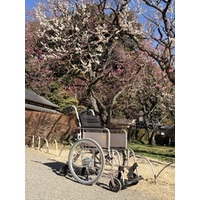日本三名園・偕楽園に車いすCOLORS®が導入されました