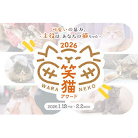 全国から寄せられた愛猫動画より『笑猫アワード2026』受賞結果を2月22日「猫の日」に発表 - アンバサダー初参加 -