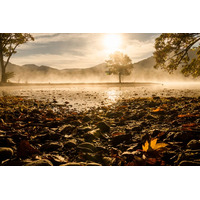 第39回十和田湖の四季写真コンテスト、入賞作品が2月28日より約2ヶ月間展示