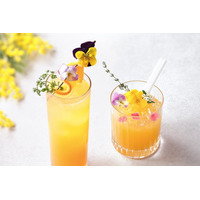 【都ホテル 博多】女性の活躍と前向きな一歩を応援する 「HAPPY WOMAN FESTA 2026」に参画