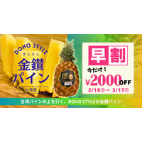 1年待ちわびたファン待望！芯まで甘い「DOHO STYLE 金鑽パイン」の先行予約を2月16日より開始。野菜ソムリエプロ推奨、3月17日まで2,000円OFFの早割キャンペーンを実施