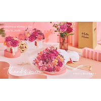 【HitoHana(ひとはな)】母の日ギフト2026予約受付開始！溢れんばかりのたっぷりのお花を贈る - カーネーションギフト、胡蝶蘭、産直、観葉植物、人気ブランドとのセットギフトも