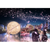 累計5万人来場、SNSで話題のナイトアートが春限定仕様に