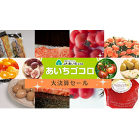 ＪＡタウンのショップ 愛知県の「あいちゴコロ」ショップで 対象商品が２０％ＯＦＦ！
