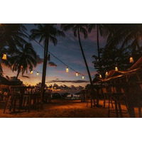 Mad MonkeyにBest Nights VCが出資、リード投資家はEXS Capital