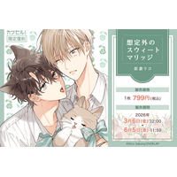 限定描き下ろしイラストを使用した「想定外のスウィートマリッジ」の「カワセルくじ」が2回目の【復刻再販】を開始！