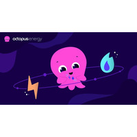 日本の電力市場でトップ成長率を記録したオクトパスエナジー、「電気もガスも」まとめて申し込み可能に！