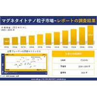 マグネタイトナノ粒子 市場調査レポート - 世界市場規模、シェア、傾向の見通し、2026-2035年