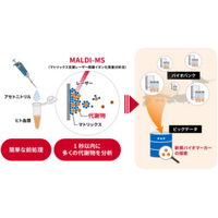 ヒト血漿に含まれる多数の低分子量代謝物を1秒以内で一斉分析