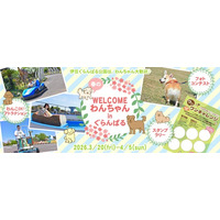 伊豆ぐらんぱる公園はデイタイムも伊豆高原グランイルミも、わんちゃん大歓迎♪ 春休みの『WELCOMEわんちゃんinぐらんぱる』イベント開催