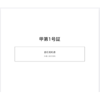 AI法務SaaS「AILEX」、mints提出用PDF生成エンジンを全面刷新 ～ 裁判所書式準拠の高品質日本語PDFを自動生成、ファイルサイズ60分の1に圧縮 ～