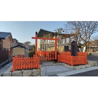 日本茶発祥の地・滋賀 「近江の茶」を愉しむ春が到来